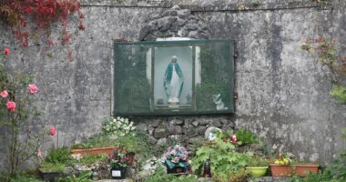 Excavation to begin at Irish house of horrors mother and baby burial site where 800 child corpses were hidden - as officials warn it will take TWO YEARS to complete the task