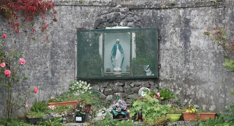 Excavation to begin at Irish house of horrors mother and baby burial site where 800 child corpses were hidden - as officials warn it will take TWO YEARS to complete the task