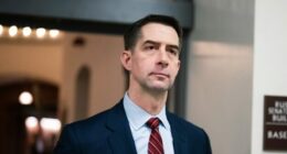 Exclusive: Tom Cotton Introduces Bill to End Birthright Citizenship for Illegals