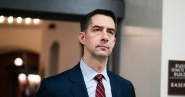 Exclusive: Tom Cotton Introduces Bill to End Birthright Citizenship for Illegals