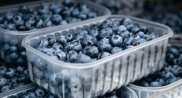 FDA issues urgent recall for blueberries after classifying it as most severe risk level