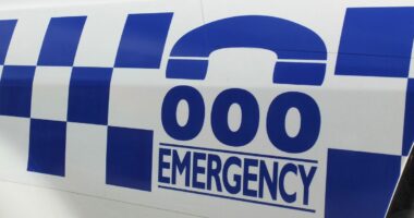 Fake police officer demanded $500 from boy's mum: police