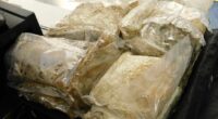 French national in alleged $20 million meth bust