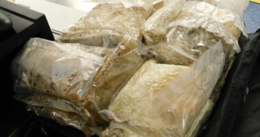 French national in alleged $20 million meth bust