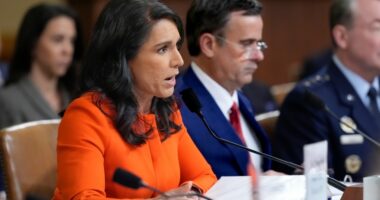 Gabbard alleges Obama manufactured intel on Russian interference