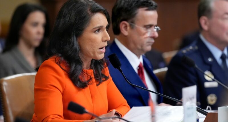 Gabbard alleges Obama manufactured intel on Russian interference