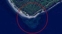 Google Maps users are baffled after spotting a mysterious SKULL off the coast of a Canadian island - as one claims it was created by 'alien visitors'