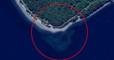 Google Maps users are baffled after spotting a mysterious SKULL off the coast of a Canadian island - as one claims it was created by 'alien visitors'