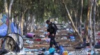 Hamas gang-rape horror revealed in shocking new report: Terrorists stripped October 7 sex attack victims, tied them to trees and mutilated them during 'systematic' onslaught