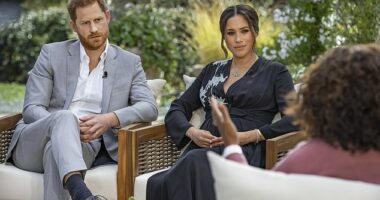 A year after announcing their decision to step down as senior members of the Royal Family, the Sussexes sat down with American media personality Oprah Winfrey for a no-holds-barred interview