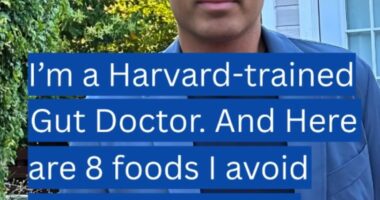Harvard doctor who has studied the gut for over 10 years reveals the foods he avoids - and what to eat instead
