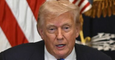 Health tech companies commit to Trump's plan to share YOUR medical records with hundreds of systems