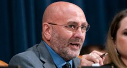 Higgins moves to force vote on censuring McIver after ICE facility clash