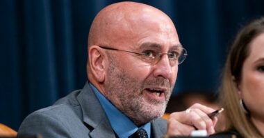 Higgins moves to force vote on censuring McIver after ICE facility clash