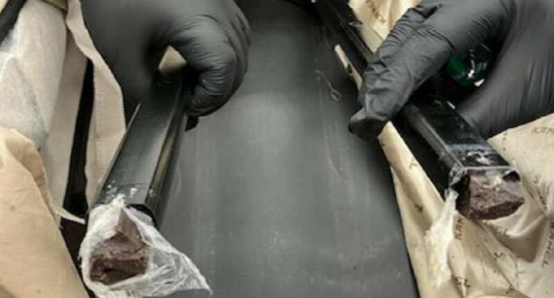 How fluid oozing from suitcase alerted police to hidden find