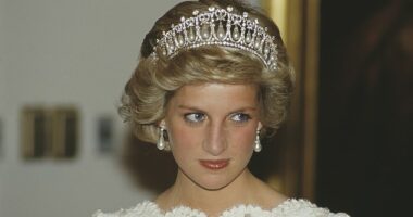 The Princess of Wales, pictured in 1985, took extreme precautions to avoid harm according to royal biographer Andrew Morton
