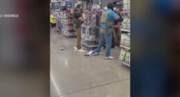 ICE officers use Taser on man at New Mexico Walmart