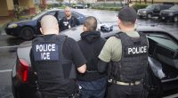ICE spotting app surges to number one on iPhone downloads after White House backlash