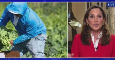 Immigration bill gives chance to noncriminal migrants: Florida rep.