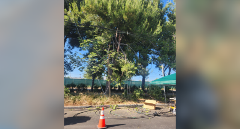 Internet outage was 'domestic terrorism,' Spectrum says