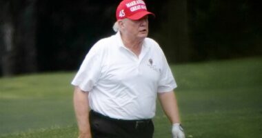 Iran 'could blast Trump with a drone 'in the navel while sunbathing at Mar-a-Lago', official warns'