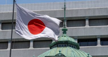 Japan bond yields surge as fiscal fears mount ahead of election