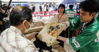 Japan's core inflation cools in June as expected, easing from 29-month high
