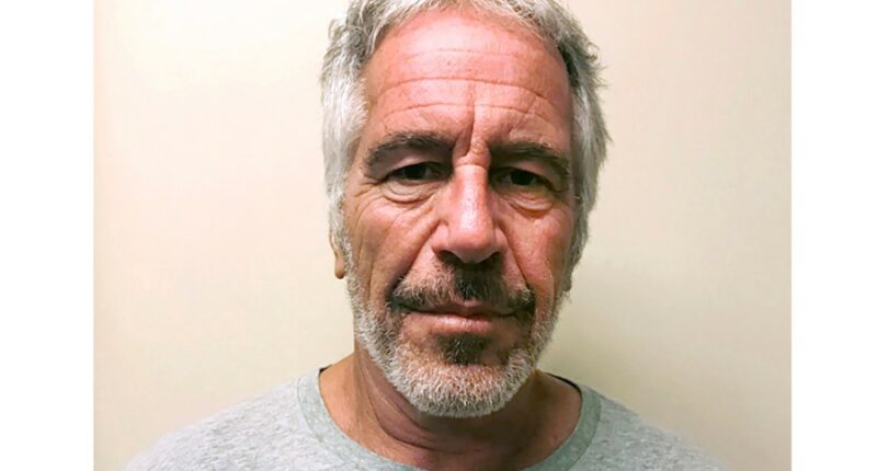 Jeffrey Epstein's brother 'laughed' at FBI findings
