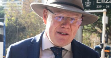 Jury told alike claims of MP's alleged sex abuse no 'coincidence'