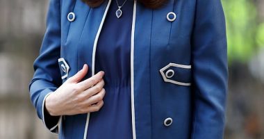 Kate, the Princess of Wales, was seven months pregnant with Prince Louis when she visited the Royal College of Obstetricians and Gynaecologists London headquarters in February 2018