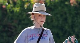 Kathy Griffin shows off VERY taut face as she tames her wild-hair look