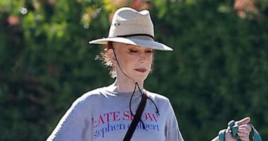 Kathy Griffin shows off VERY taut face as she tames her wild-hair look
