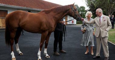 King Charles and Queen Camilla meet racehorse Stradivarius as they visit The National Stud in Newmarket