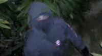Late mum's war medals, $75k of jewellery stolen as neighbours burgled