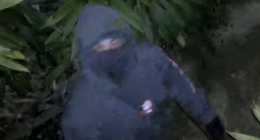 Late mum's war medals, $75k of jewellery stolen as neighbours burgled