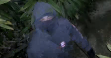 Late mum's war medals, $75k of jewellery stolen as neighbours burgled