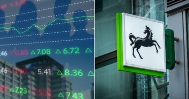Lloyds slashes charge on ready-made investment fund to lure in customers: Is it a good deal?