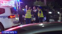Man charged after alleged hit-run hospitalised two boys in Sydney