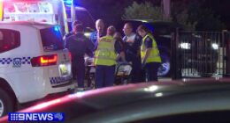 Man charged after alleged hit-run hospitalised two boys in Sydney