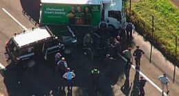 Man to face court after allegedly stealing Woolworths truck, assaulting delivery driver