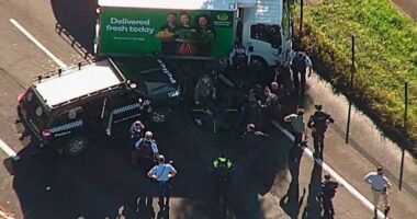Man to face court after allegedly stealing Woolworths truck, assaulting delivery driver