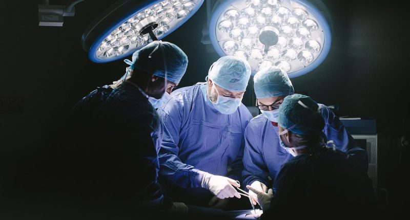Men become infested with parasites after receiving infected organs across multiple states