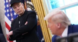 Musk Trolls Trump On Epstein Files—Here’s What He’s Said