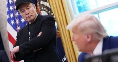 Musk Trolls Trump On Epstein Files—Here’s What He’s Said