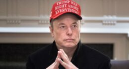 Musk rejects Trump's 'Epstein hoax' claim against democrats