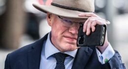 NSW MP convicted of sexually abusing two men
