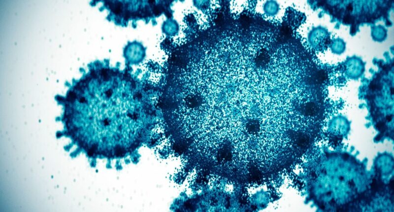 New Covid variant XFG with unique symptom spreads in UK
