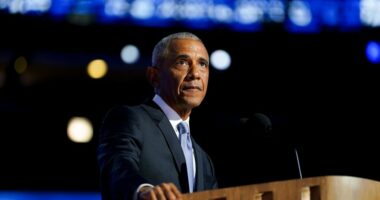 Obama spokesperson on Trump's claims of treason: 'Ridiculous'