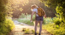 Officials warn insect-borne diseases are becoming more common... as first human case of rare virus is recorded