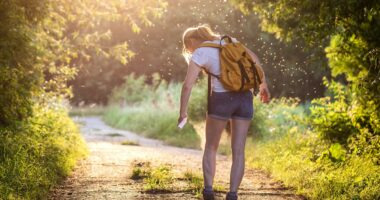 Officials warn insect-borne diseases are becoming more common... as first human case of rare virus is recorded